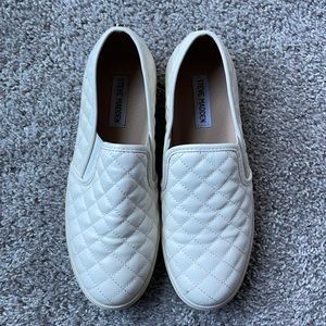 Steve Madden Sneakers